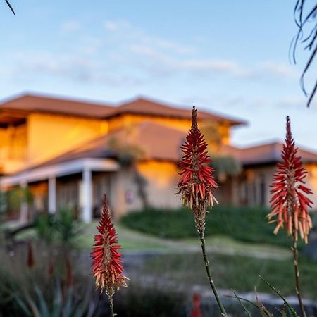 Blue Rain Guest House Bloemfontein Exteriör bild